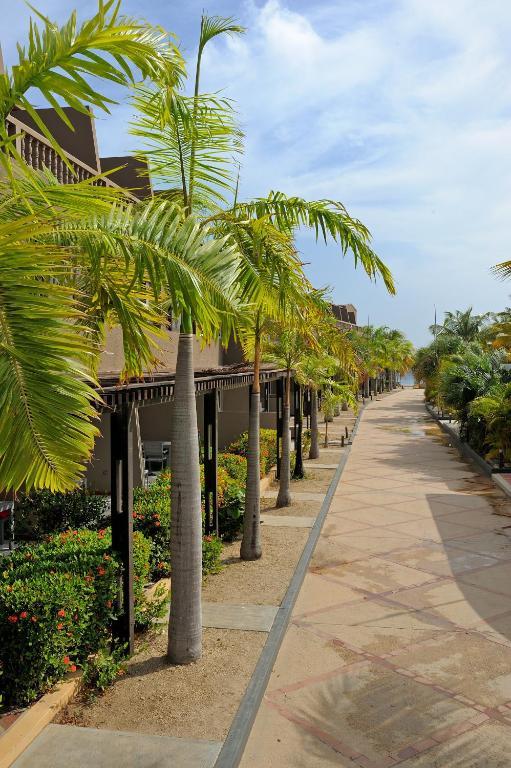 Eden Beach Resort - Bonaire Κράλεντικ Δωμάτιο φωτογραφία